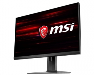 MSI Optix MAG251RX Monitör
