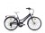 Bianchi Daisy Bayan 24" Şehir-Tur Bisikleti