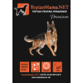 ToptanMama Gold Yüksek Protein Somonlu 15 kg resim