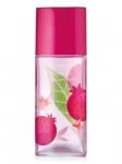 Elizabeth Arden Green Tea Pomegranate EDT 100 ml Kadın Parfümü resim
