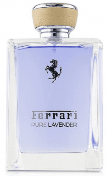 Ferrari Pure Lavender EDT 100 ml Erkek Parfümü