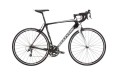 Cannondale Synapse Carbon Tiagra resim