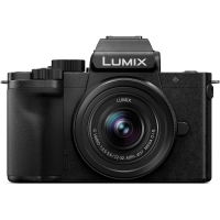 Panasonic Lumix G100 12-32mm resim