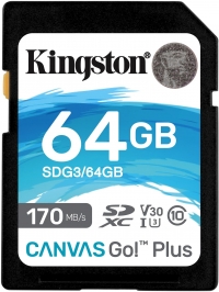 Kingston Canvas Go! Plus resim