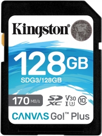 Kingston Canvas Go! Plus resim