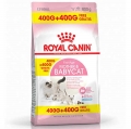 Royal Canin BabyCat 34 Yavru Kuru 800 gr resim