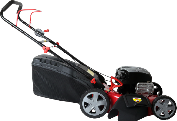 Goldmoto WR65326B1 Çim Biçme Makinesi