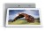 Everest EverPad MOMO-20S Tablet