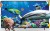 Axen 43" 3D Uydu Alıcılı Full HD (FHD) TV