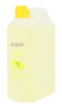 Rosemix Limon Kolonyası Bidon 1 lt resim