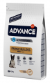 Advance French Bulldog Yetişkin 3 kg resim