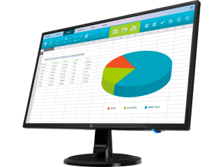 HP N246v (3NS59AS) Monitör
