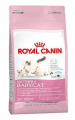 Royal Canin Mother & Babycat 34 400 gr resim