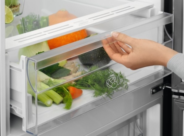 Electrolux LNT5MF32U0 Buzdolabı