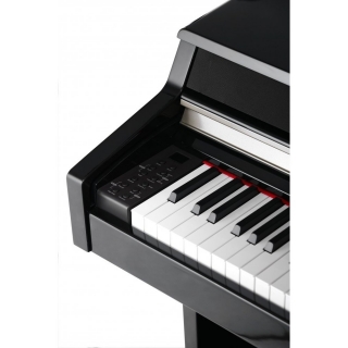 Kurzweil MP10-BP