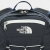 The North Face Borealis Classic Sırt Çantası