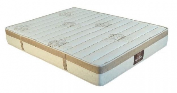 Otantik Regnum 90x190 cm Yaylı Yatak (90x190 cm)