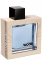 Dsquared2 Ocean Wet Wood EDT 100 ml Erkek Parfümü Parfüm
