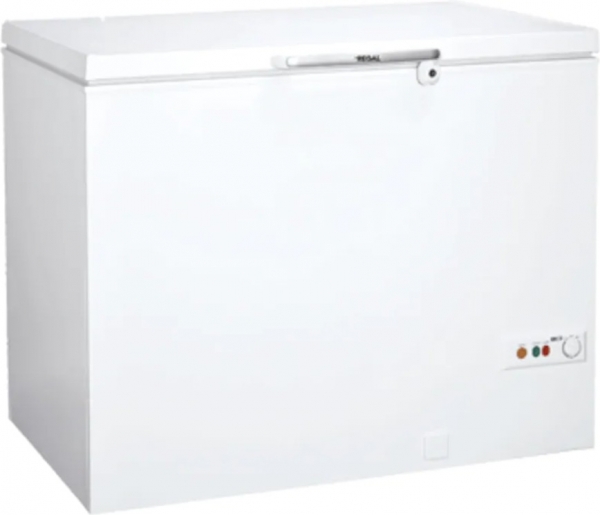 Regal RGL 300 Derin Dondurucu