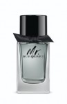 Burberry Mr. Burberry EDT 150 ml Erkek Parfümü resim