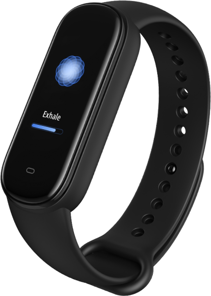 Amazfit Band 5 Akıllı Bileklik