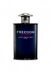 Tommy Hilfiger Freedom Sport EDT 100 ml Erkek Parfümü resim