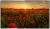 Arçelik A43K 680G Full HD (FHD) TV