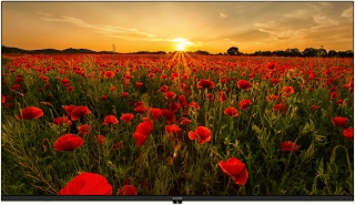 Arçelik A40K 590G Full HD (FHD) TV
