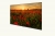 Arçelik A40K 590G Full HD (FHD) TV