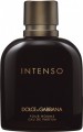 Dolce&Gabbana Intenso EDP 125 ml Erkek Parfümü Parfüm