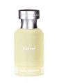 Burberry Weekend EDT 100 ml Erkek Parfümü Parfüm