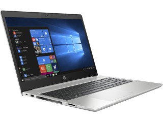HP ProBook 450 G7 (1Q2X5ES) Laptop