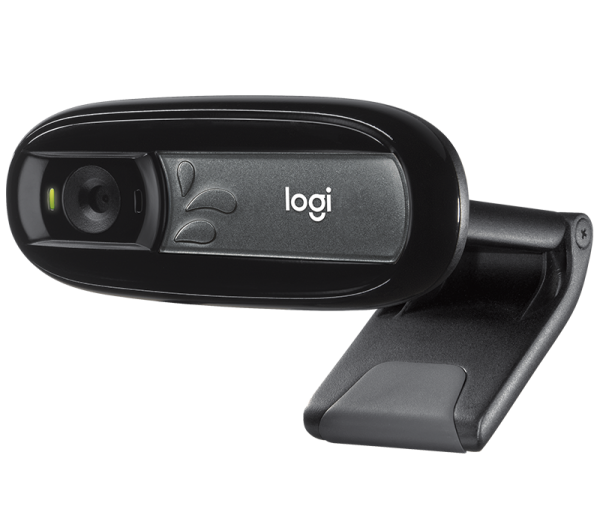 Logitech C170 Webcam