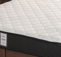 Pinotte Novara 60x120 cm resim