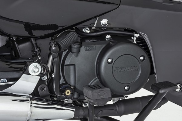 Mondial 100 SFC Exclusive Cub
