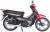 Mondial 100 SFC Exclusive Cub
