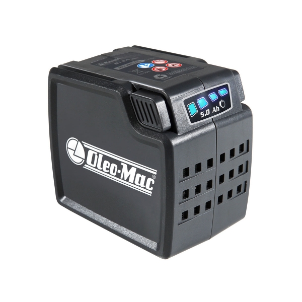Oleo-Mac Gi 48 T Çim Biçme Makinesi