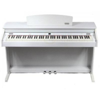 Bolanschi BL-8808
