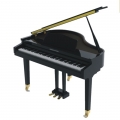 Pearl River GP1100 resim