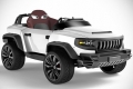 Henes Broon T870 Panelli resim