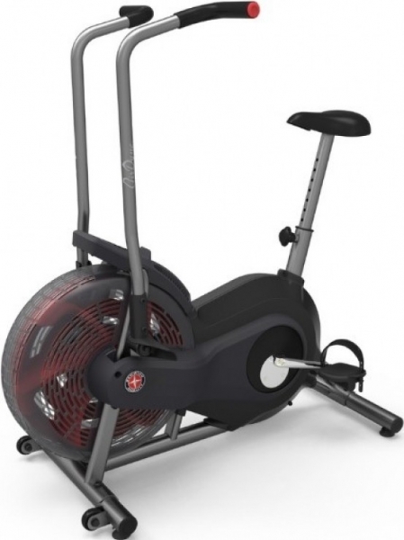 Schwinn Airdyne AD2i Dikey Bisiklet