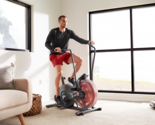 Schwinn Airdyne AD2i Dikey Bisiklet