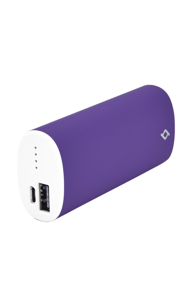 ttec PowerPack 5000 mAh Powerbank
