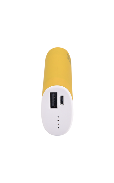 ttec PowerPack 5000 mAh Powerbank