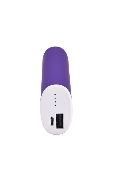 ttec PowerPack 5000 mAh Powerbank