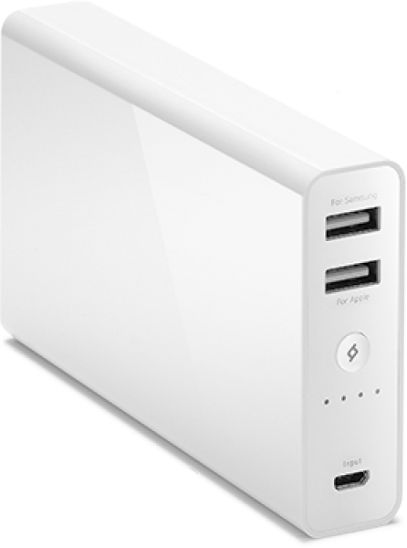 ttec PowerUp Jumbo 13000 mAh Powerbank