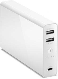 ttec PowerUp Jumbo 13000 mAh Powerbank