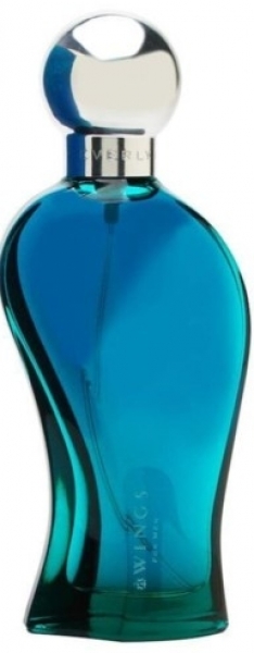 Giorgio Beverly Hills Wings EDT 100 ml Erkek Parfümü (100 ml)