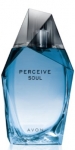 Avon Perceive Soul EDT 100 ml Erkek Parfümü resim