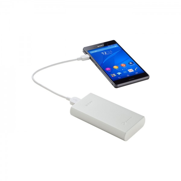 Sony CP-R10 10000 mAh Powerbank